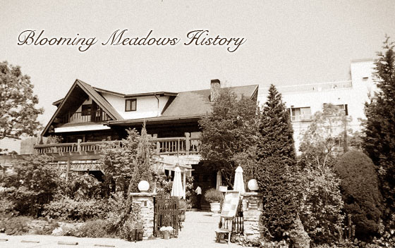 Blooming Meadows History
